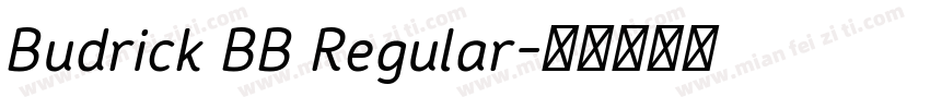 Budrick BB Regular字体转换